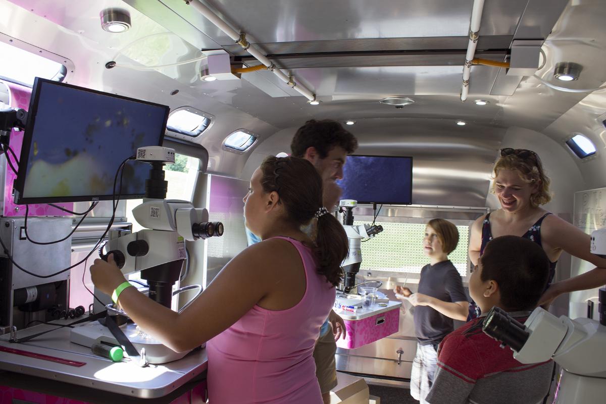 <em>BioBus, Storm King Art Center,&nbsp;</em>2018