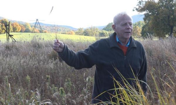 Darrel Morrison, Storm King Art Center, 2015<br />
Mark di Suvero,&nbsp;<em>Jeanne,&nbsp;</em>2014-15<br />
Mark di Suvero,&nbsp;<em>Pyramidian,&nbsp;</em>1987/1998 (installation view, 2015)