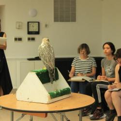 Falcon drawing, <em>Day of the Bird</em>, Storm King Art Center, 2018