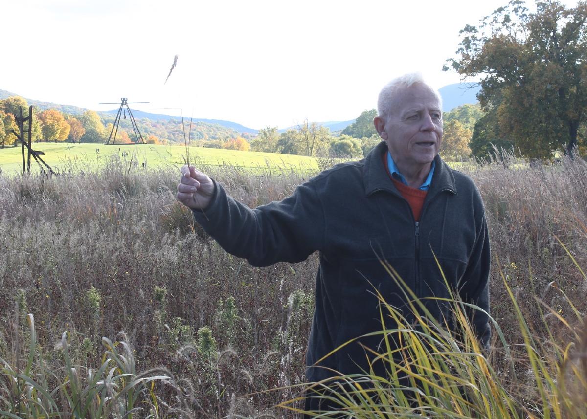 Darrel Morrison, Storm King Art Center, 2015<br />
Mark di Suvero,&nbsp;<em>Jeanne,&nbsp;</em>2014-15<br />
Mark di Suvero,&nbsp;<em>Pyramidian,&nbsp;</em>1987/1998 (installation view, 2015)