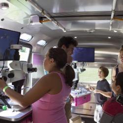 <em>BioBus, Storm King Art Center,&nbsp;</em>2018