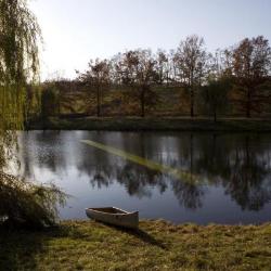 William Lamson,<i> Last Light, </i>2012 (installation view, 2012)