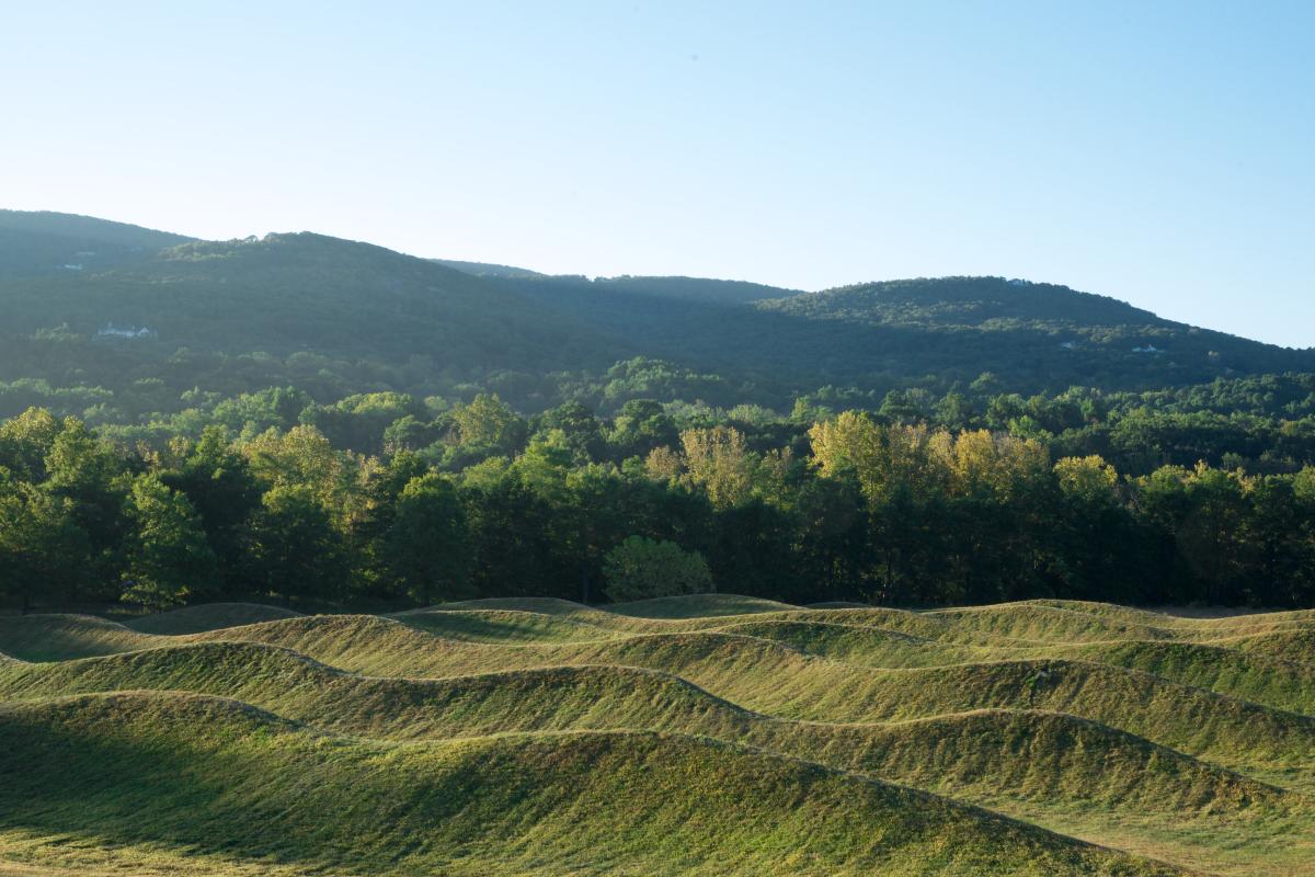 Storm King Wavefield