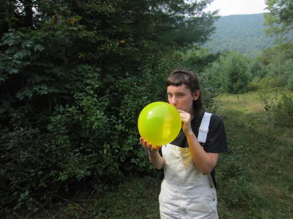 Shandaken resident *ARTIST?, 2013