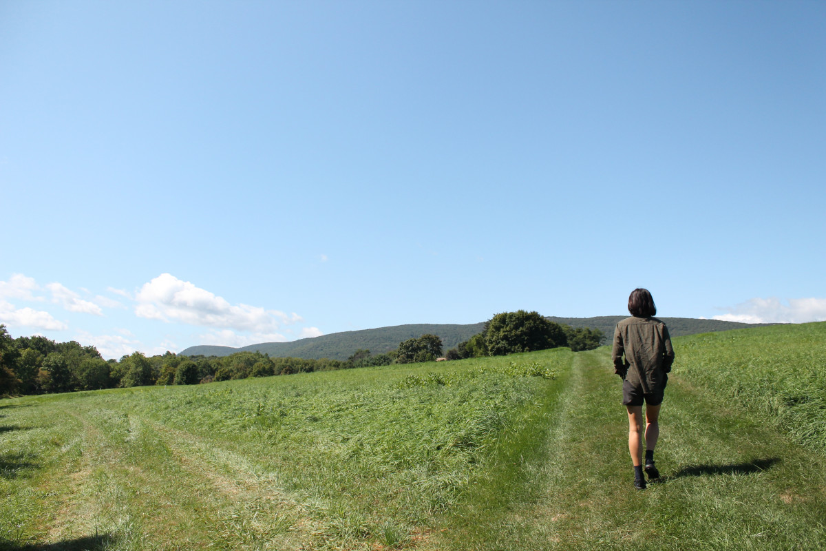 Pathway, Shandaken: Storm King, 2017
