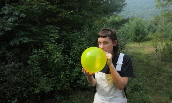 Shandaken resident *ARTIST?, 2013