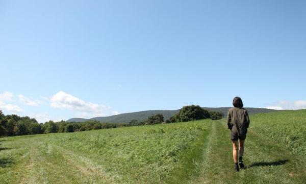 Pathway, Shandaken: Storm King, 2017