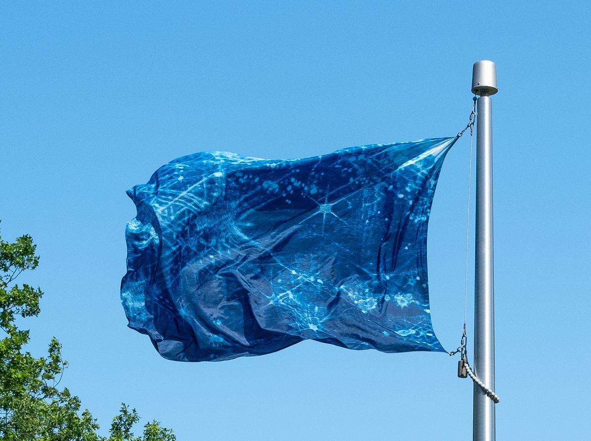 Kiki Smith,&nbsp;<em>river light</em><em>,&nbsp;</em>2019<br />
(installation view, 2020)