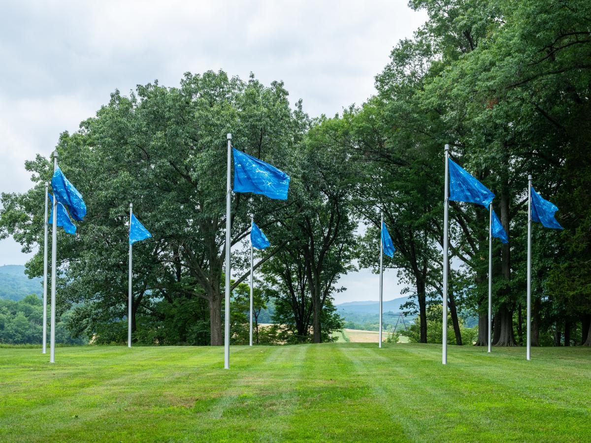 1.Kiki Smith, <em>river light</em><em>, </em>2019<br />
(installation view, 2020)