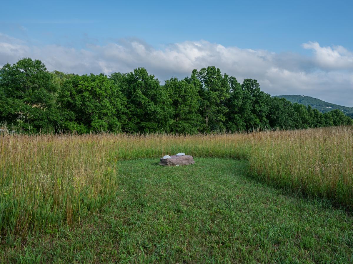 Martha Tuttle, <em>A stone that thinks of Enceladus,&nbsp;</em>2020<br />
(installation view, 2020)