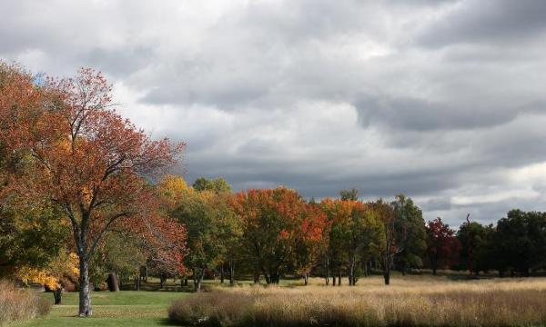 North Woods, Storm King Art Center, 2015