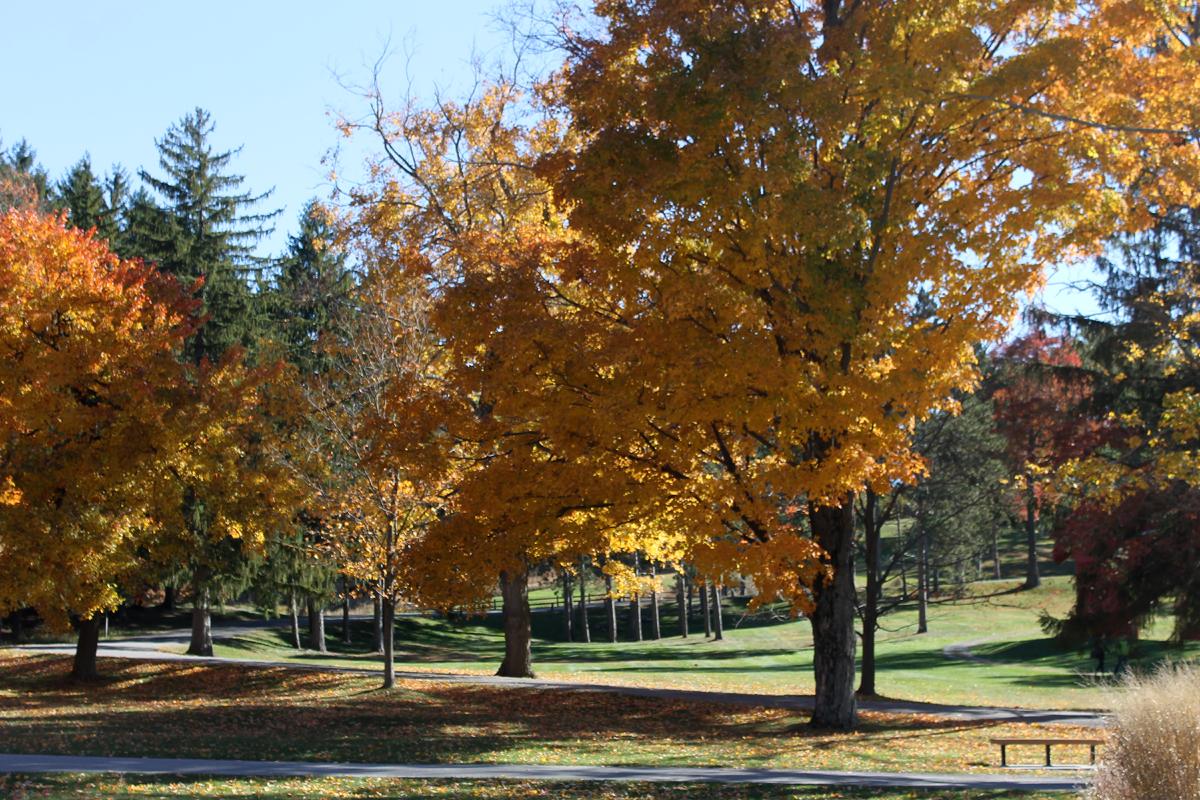 North Woods, Storm King Art Center, 2016