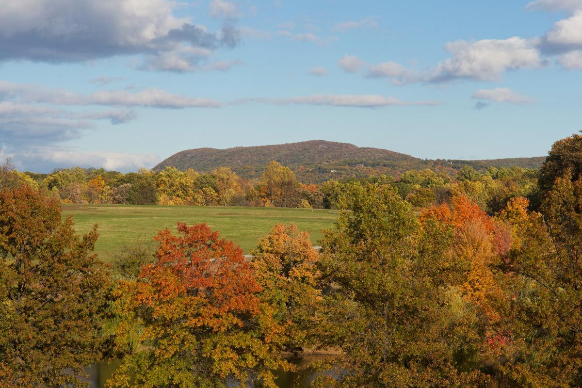 Storm King Mountain, Storm King Art Center, 2010