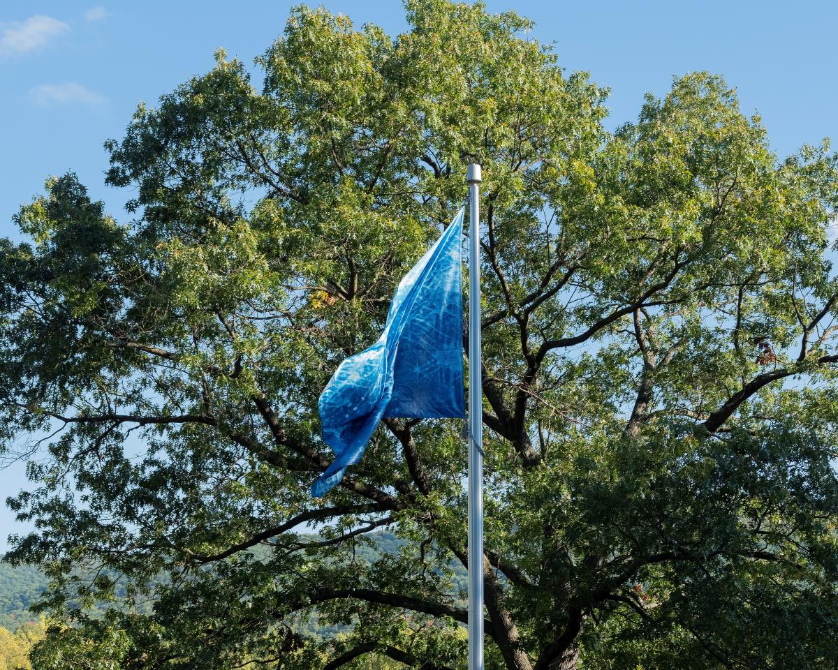 Kiki Smith,<em> river light</em>, 2019<br />
(installation view, 2020)