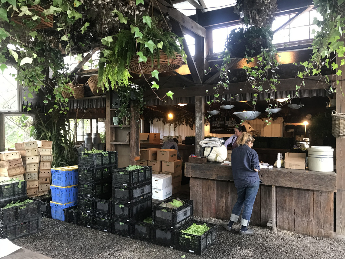 Vegetables, Shandaken: Storm King