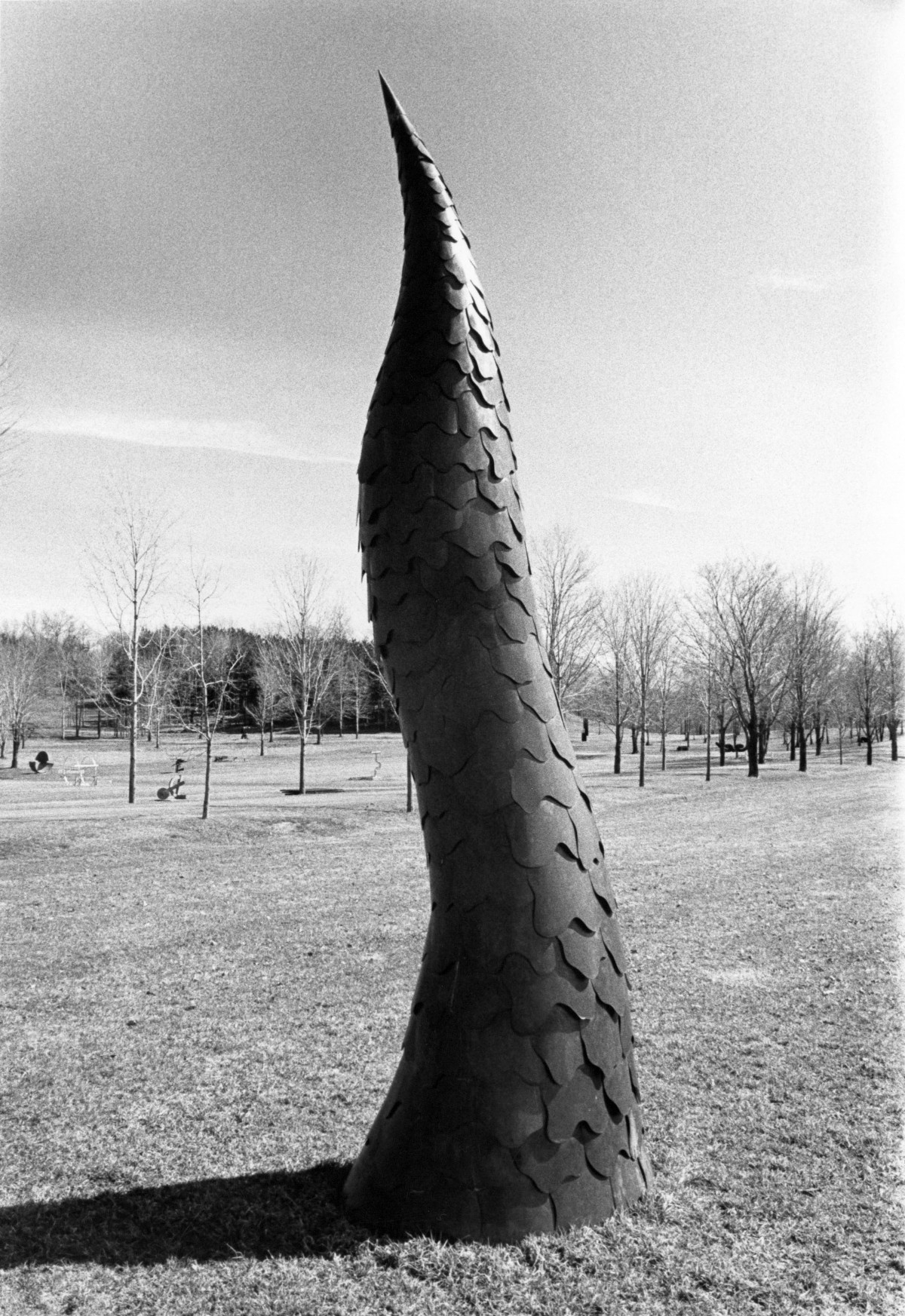 Cone