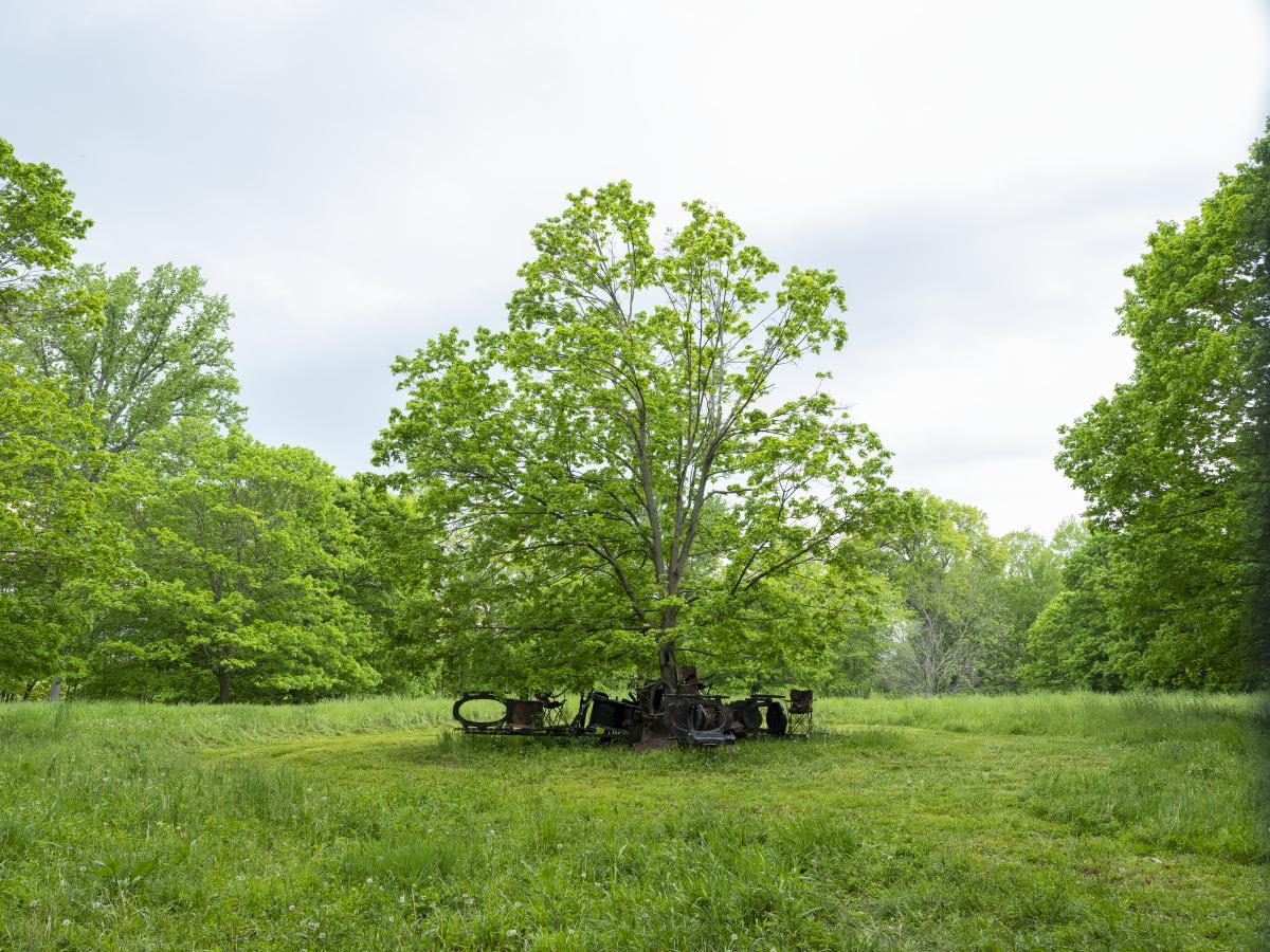 Brandon Ndife,&nbsp;<em>Shade Tree&nbsp;</em>(installation view, 2022)&nbsp;