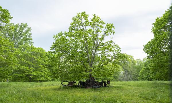 Brandon Ndife,&nbsp;<em>Shade Tree&nbsp;</em>(installation view, 2022)&nbsp;