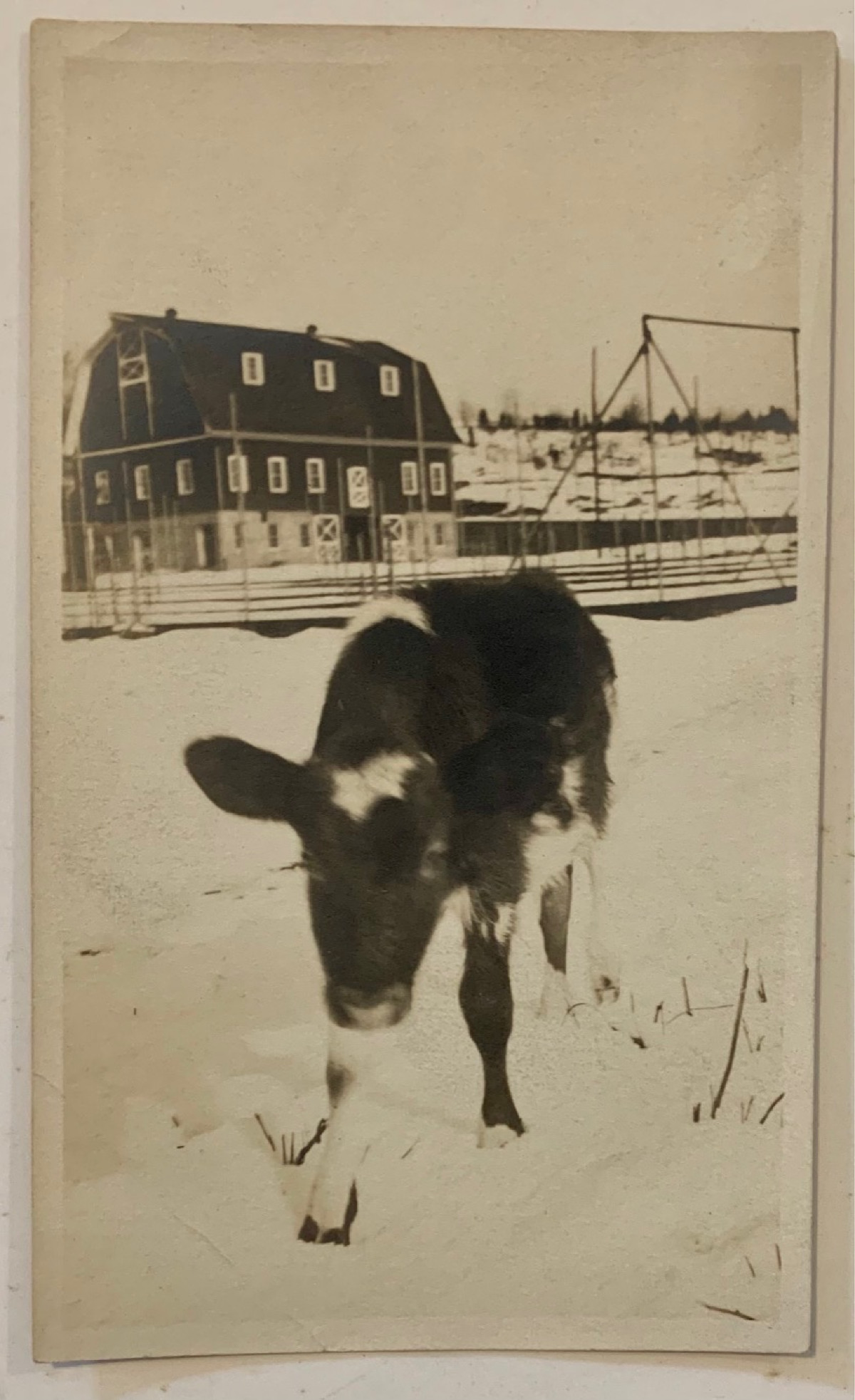 Orsbee Farm, Mountainville, N.Y.