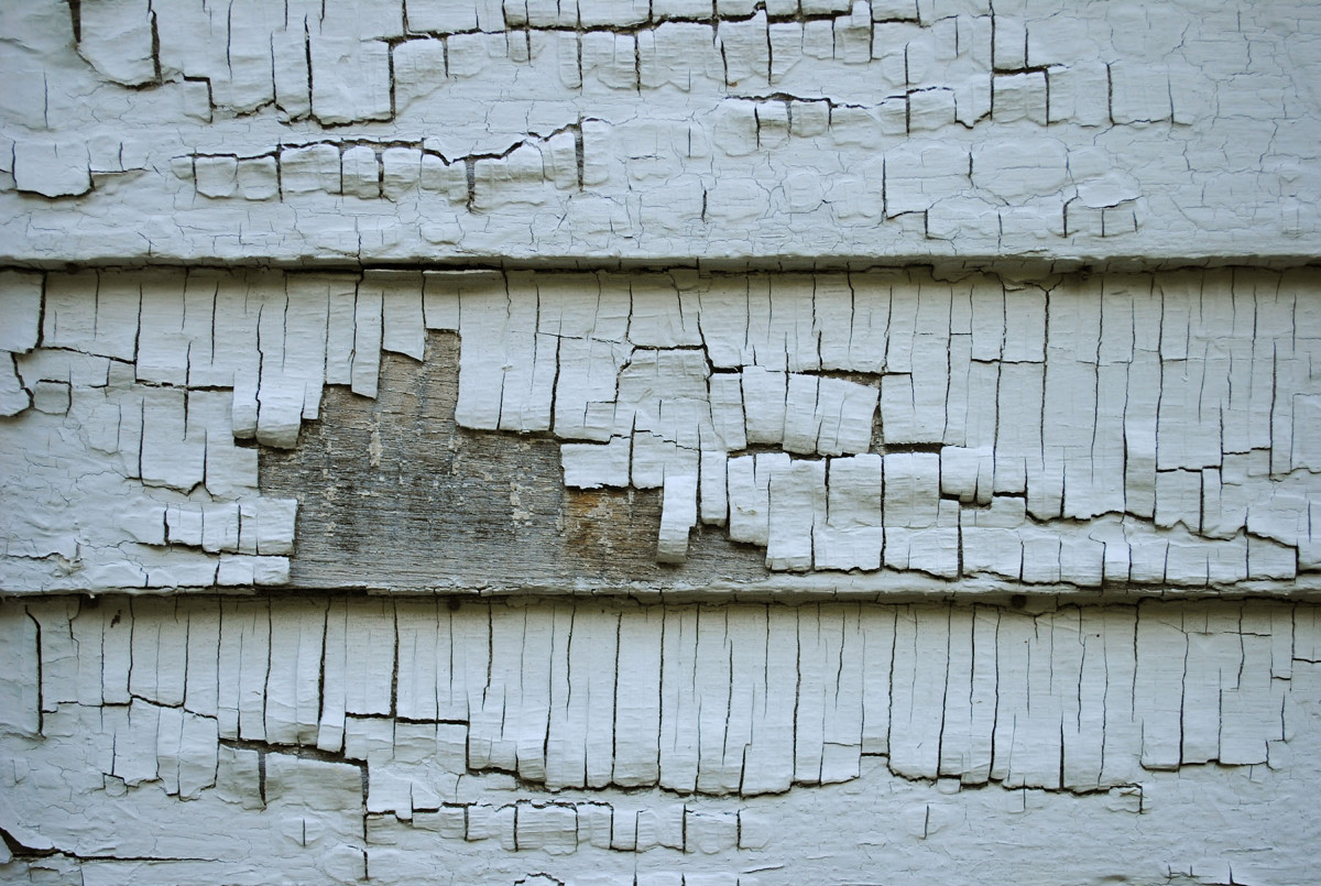 <em>Peeling Back</em>, Scandrett House, 2022
