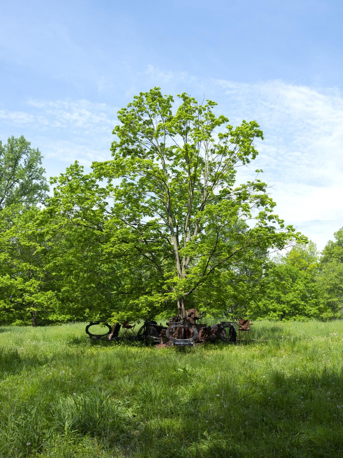 Brandon Ndife,&nbsp;<em>Shade Tree&nbsp;</em>(installation view, 2022)&nbsp;