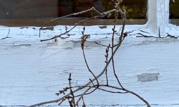 Van Duzer House, Storm King Art Center, 2022