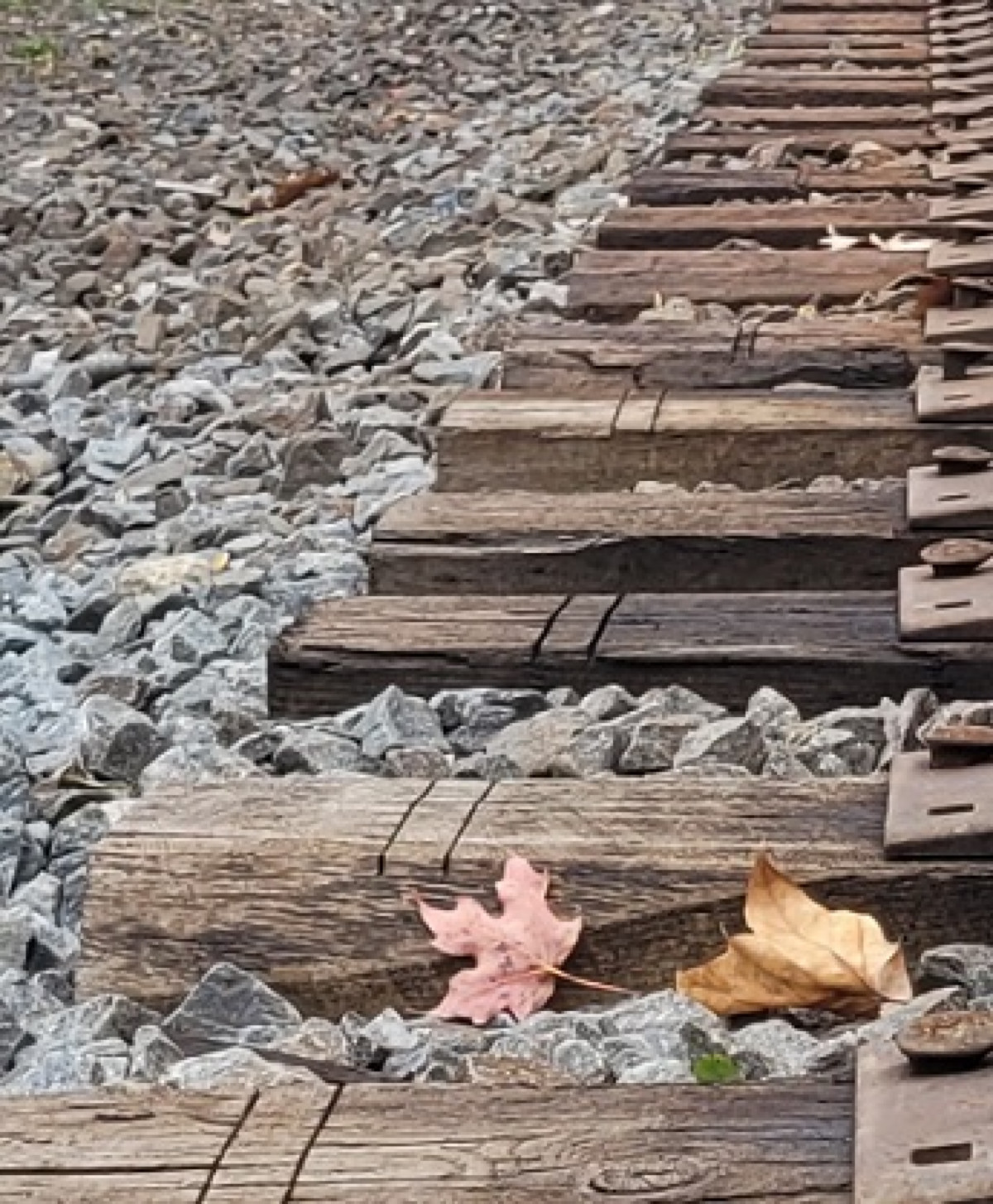 Railroad, Cornwall, N.Y., 2022