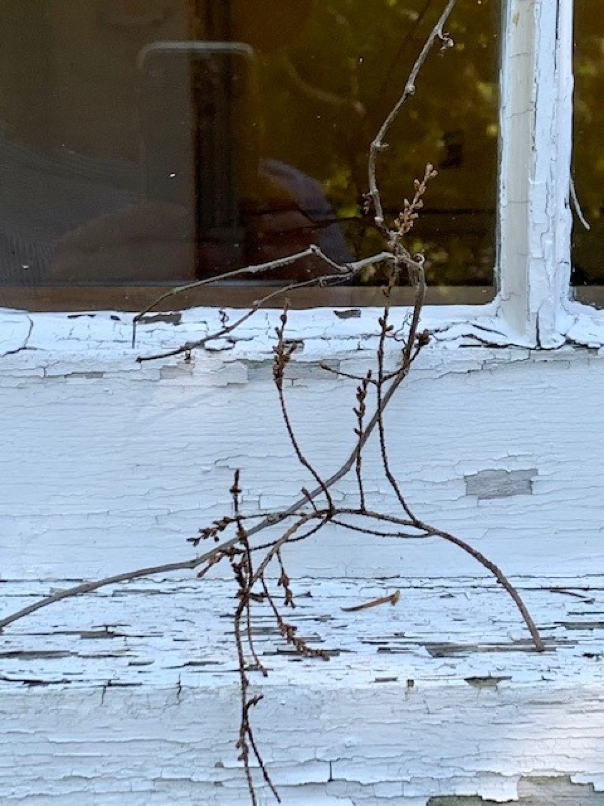 Van Duzer House, Storm King Art Center, 2022