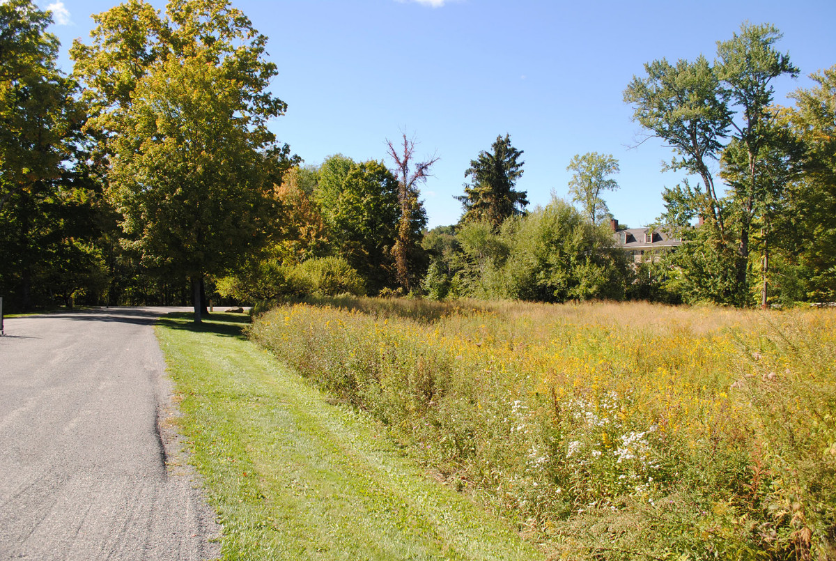 Van Duzer House, Storm King Art Center, 2022