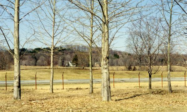 New York State Thruway, Storm King Art Center, 1999