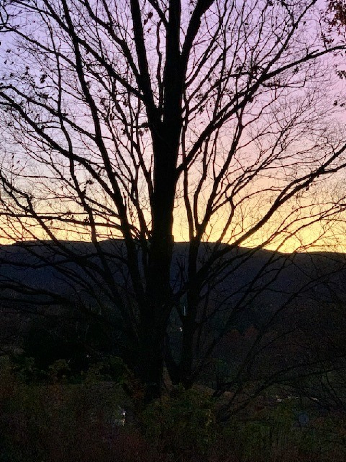 Storm King Art Center, 2022