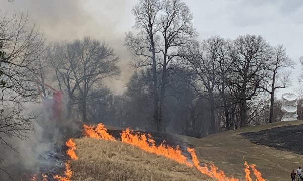 Burn, Storm King Art Center