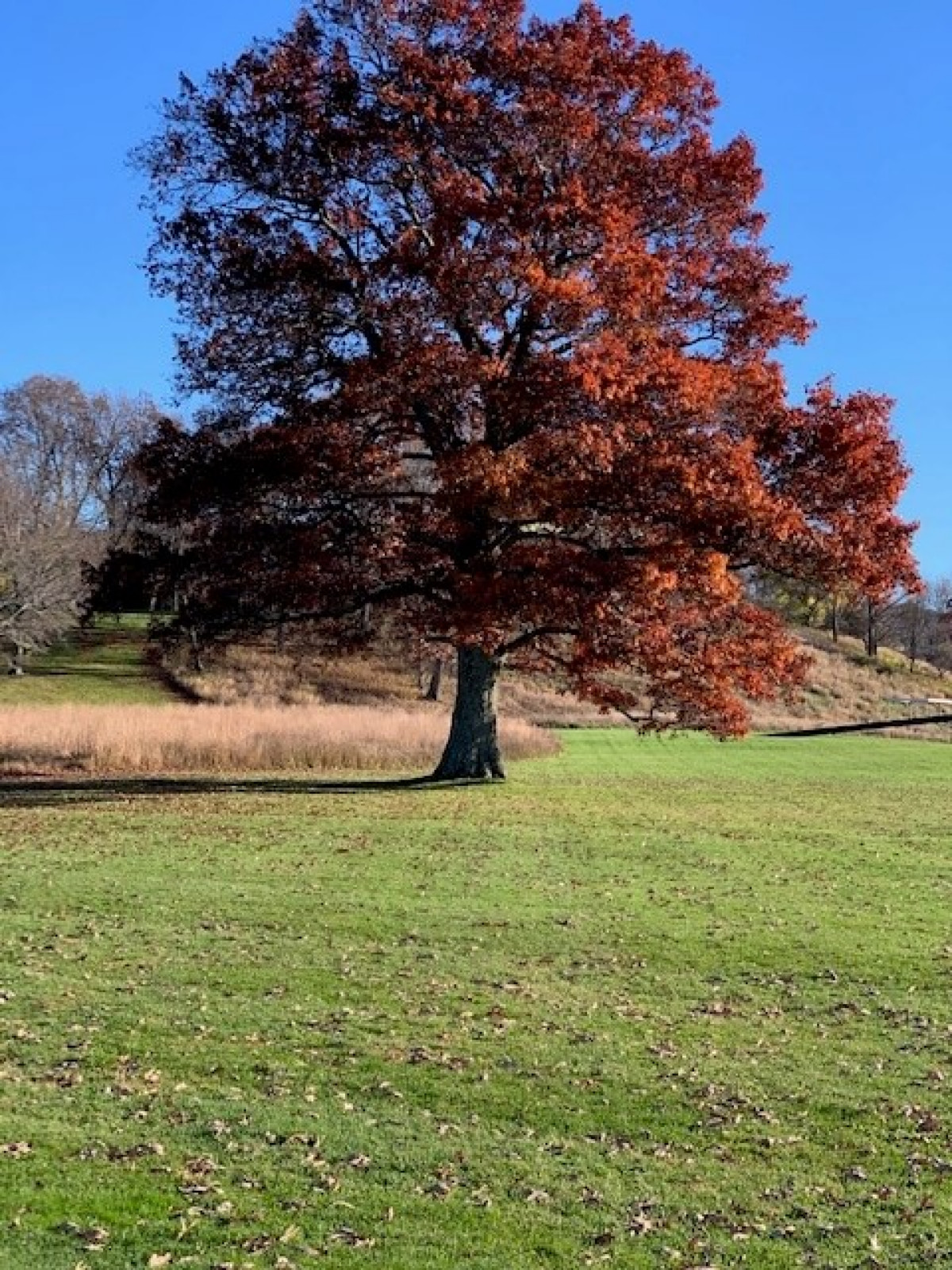 Storm King Art Center, 2022