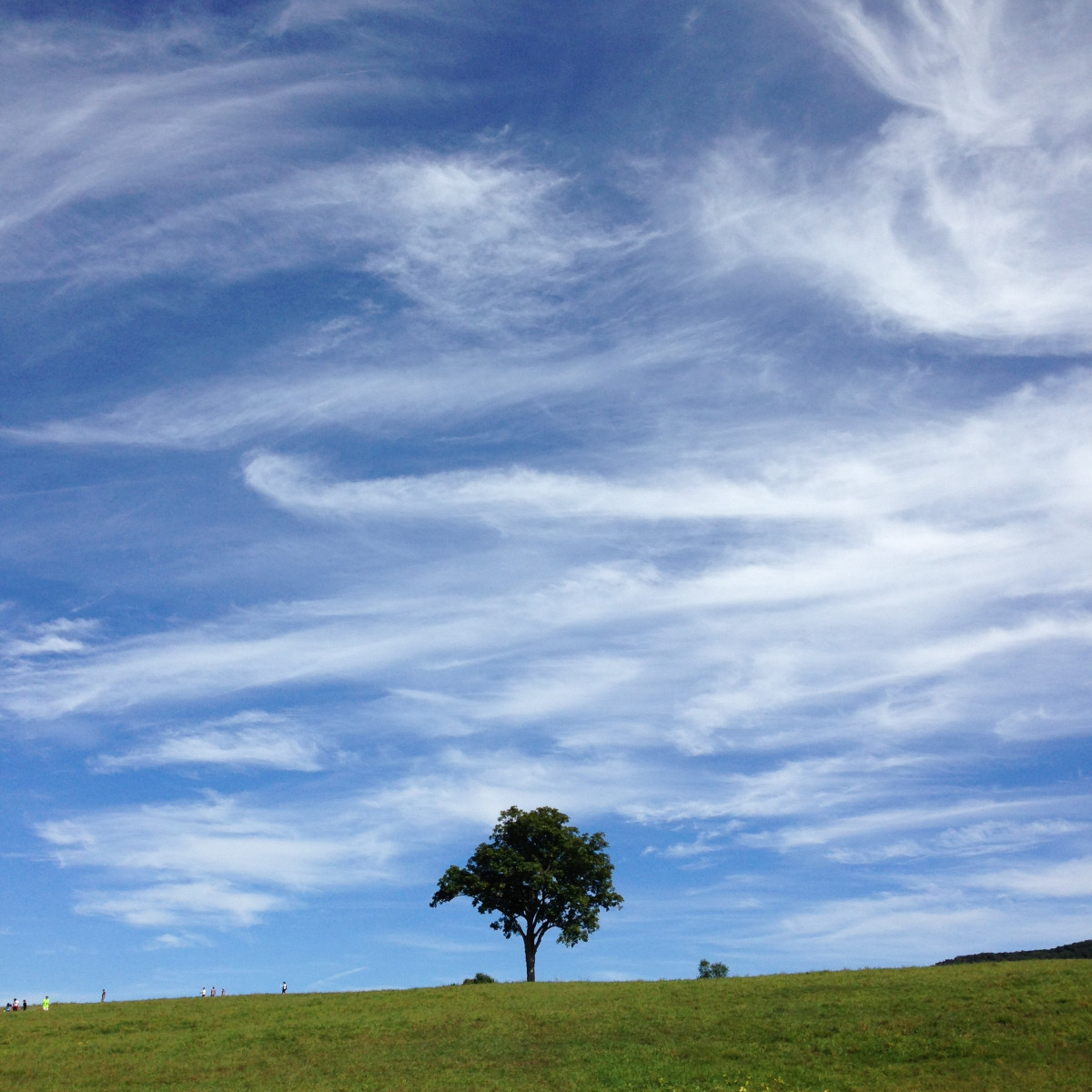 Storm King Art Center, 2015
