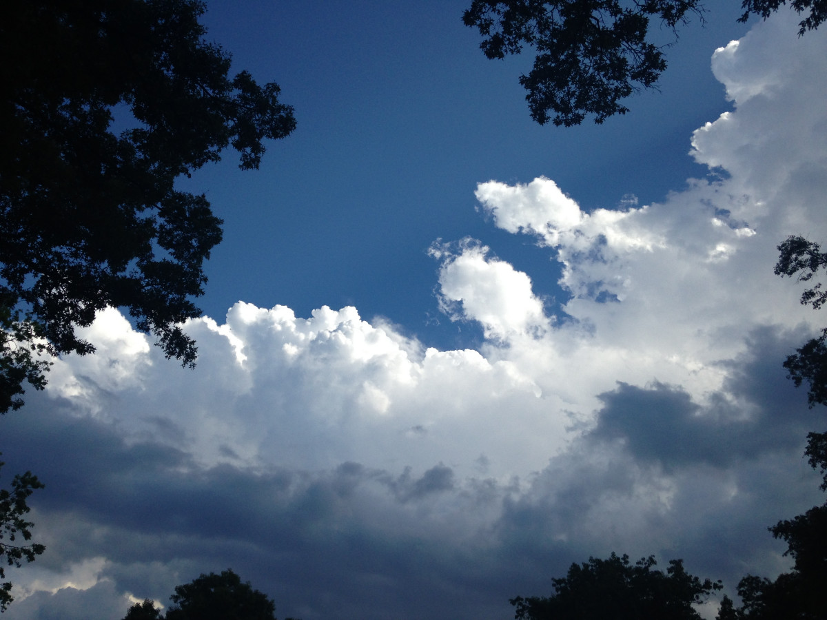 Cloudscape, Storm King Art Center, 2015