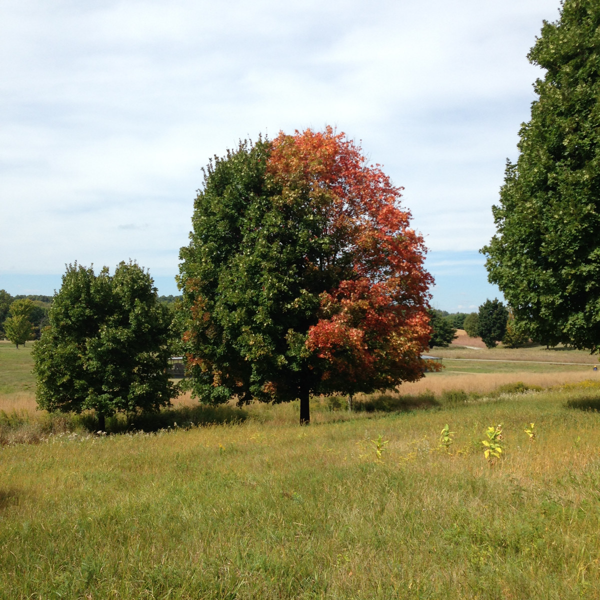 Storm King Art Center, 2015