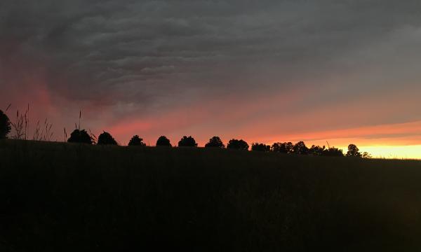 Sunset, Storm King Art Center