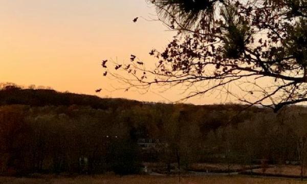 Storm King Art Center, 2022
