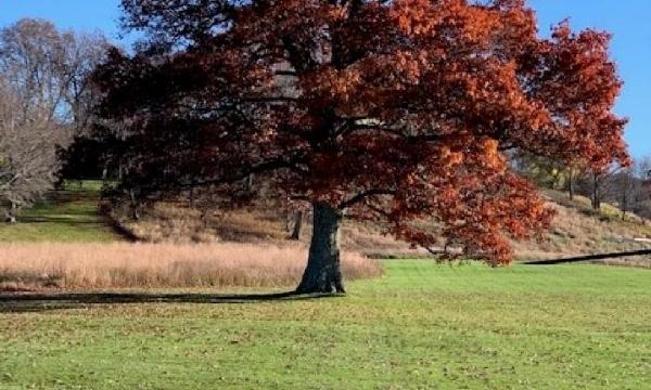 Storm King Art Center, 2022