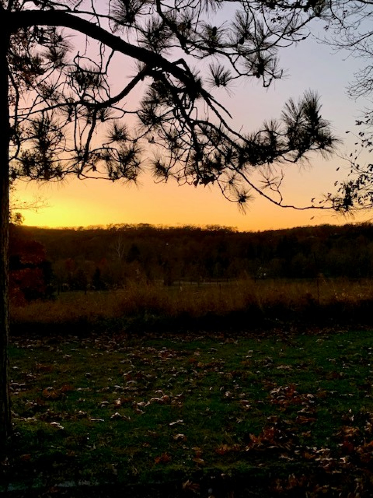 Storm King Art Center, 2022