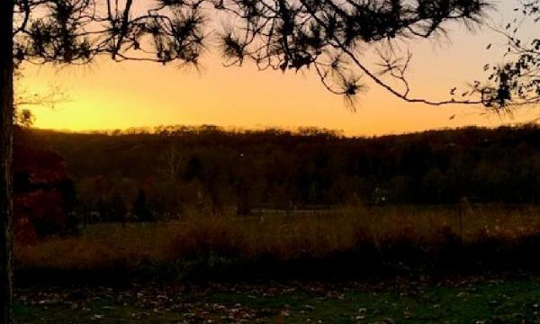 Storm King Art Center, 2022