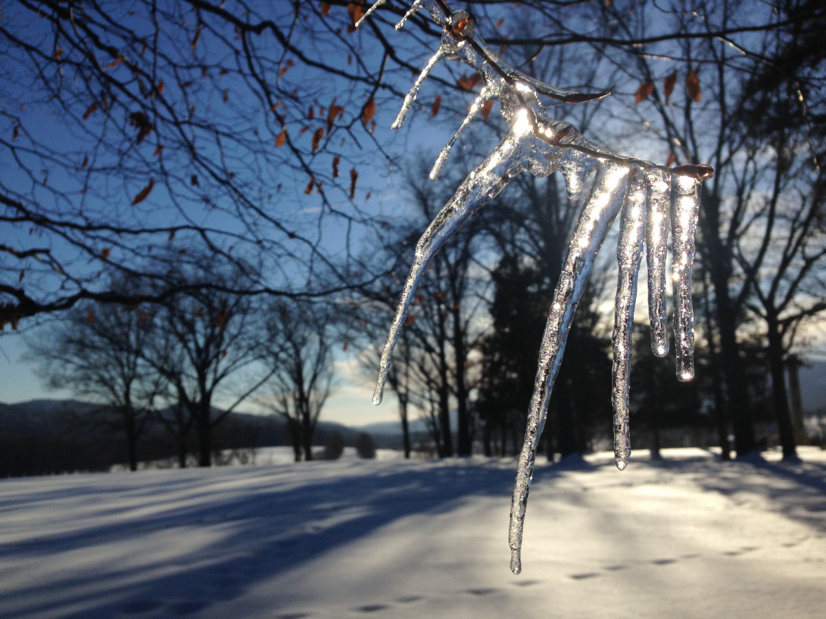 Storm King Art Center, 2015