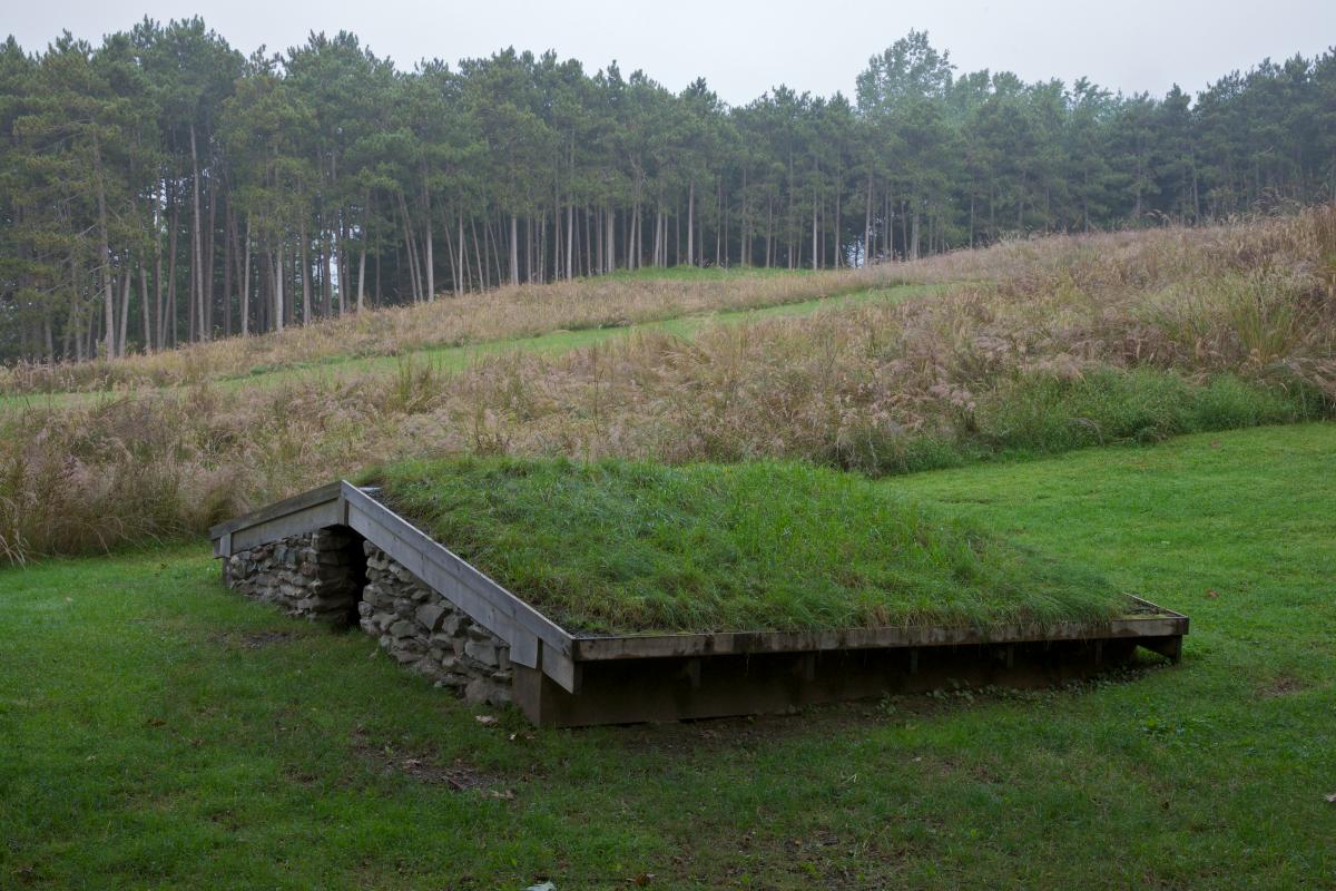 Low Building with Dirt Roof (For Mary)