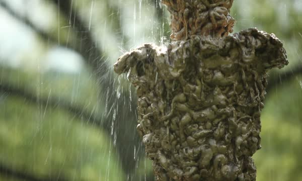 <i>Lynda Benglis: Water Sources</i> Exhibition Video (2015)