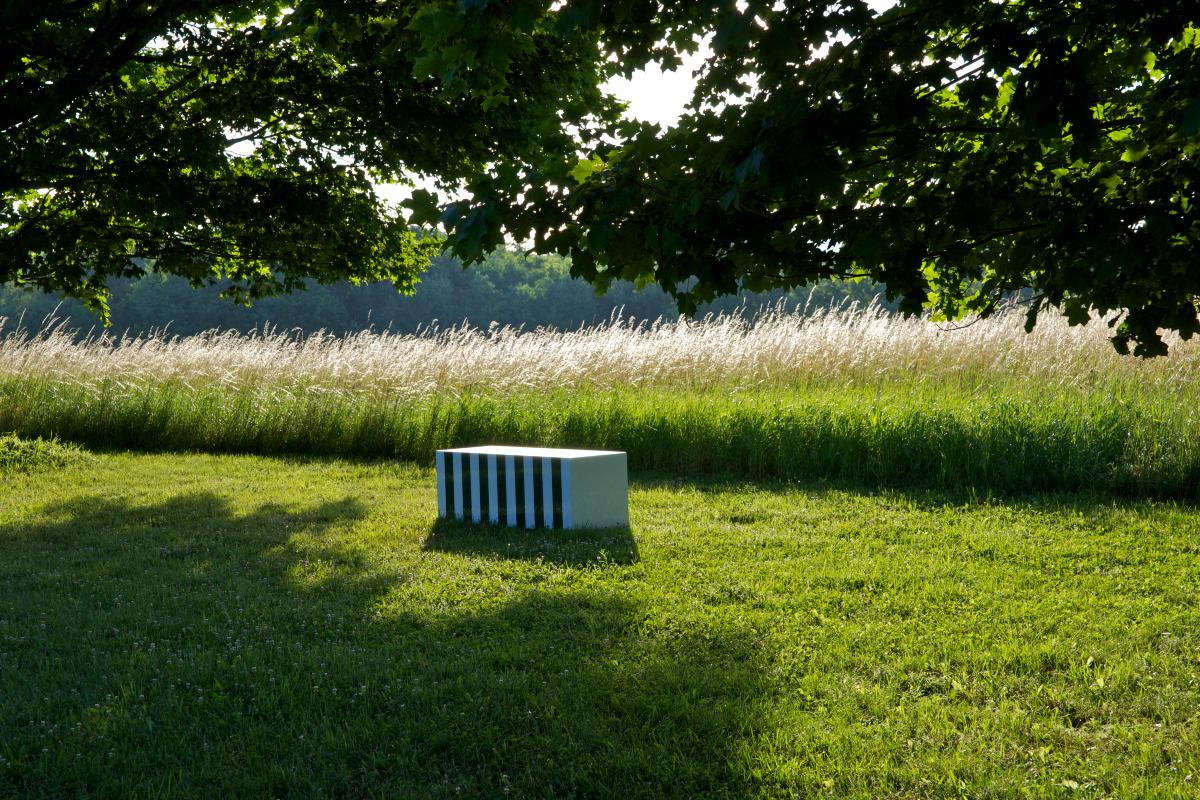 Daniel Buren
