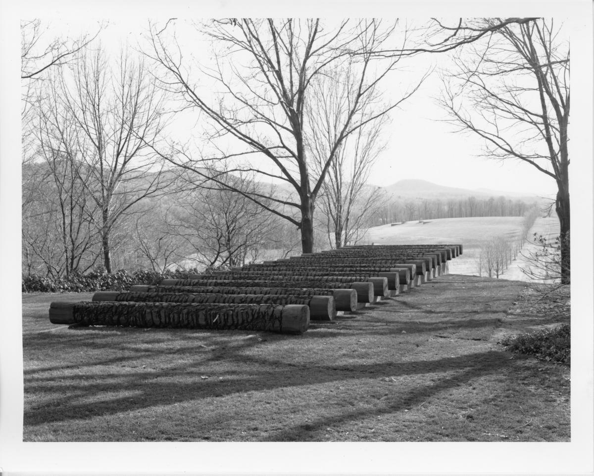 Ursula von Rydingsvard, <em>Land Rollers</em>, 1992 (installation view, 1992)