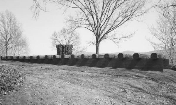 Ursula von Rydingsvard, <em>Land Rollers</em>, 1992 (installation view, 1992)