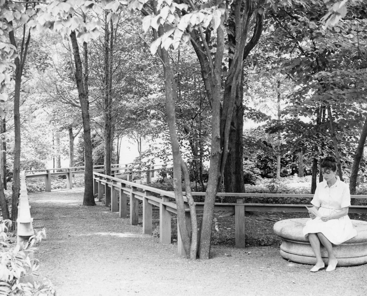 Walkway, Storm King Art Center, 1964