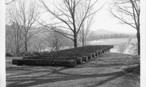 Ursula von Rydingsvard, <em>Land Rollers</em>, 1992 (installation view, 1992)