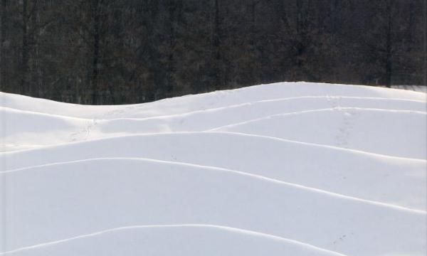 <em>Maya Lin: Storm King Wavefield</em>, 2009, exhibition publication 
